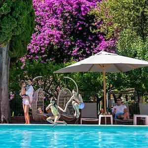 book here